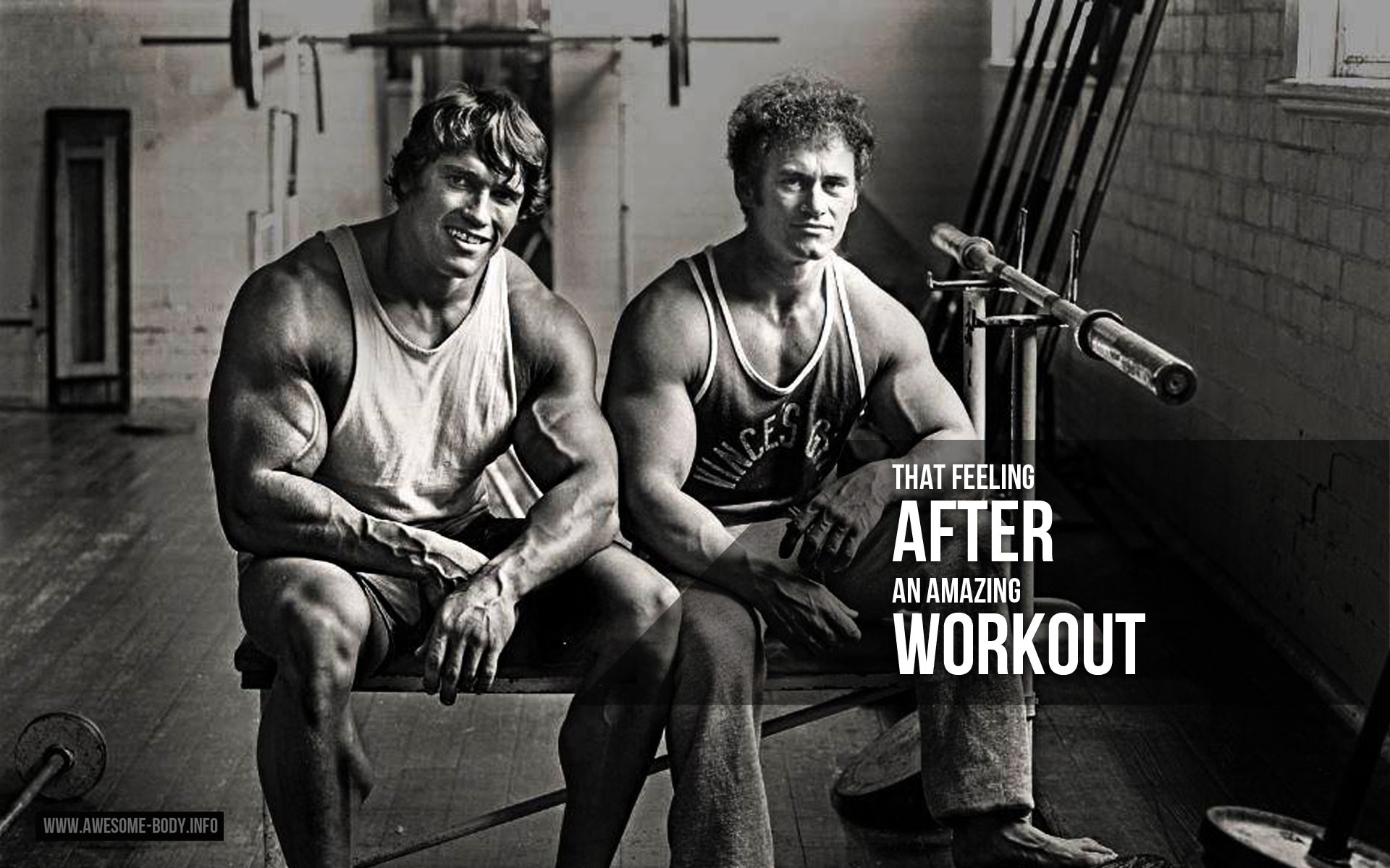 Motivational image titled "That feeling after an amazing workout"